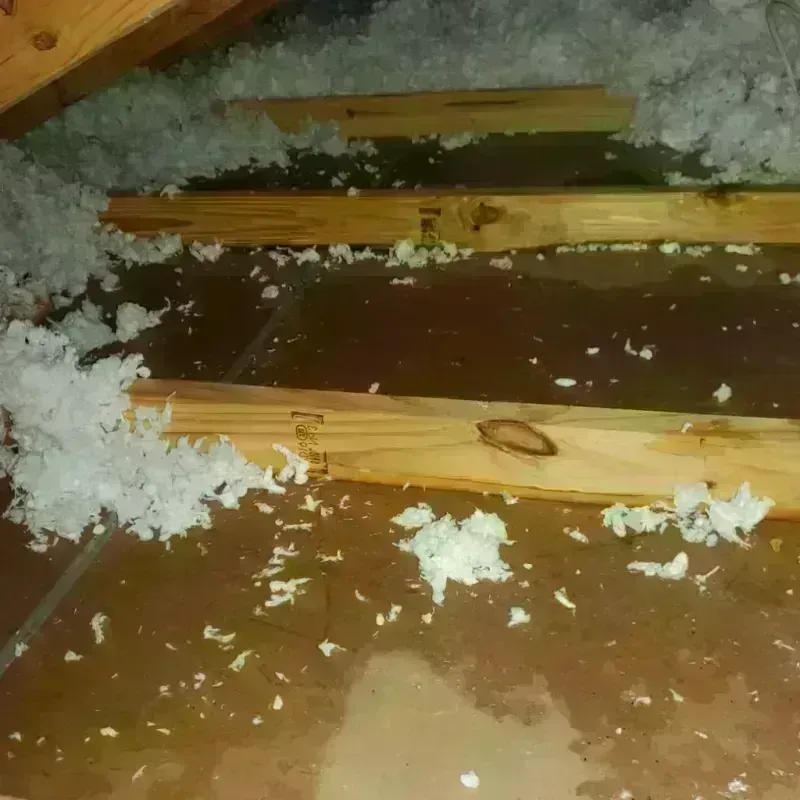 Attic Water Damage in McCordsville, IN