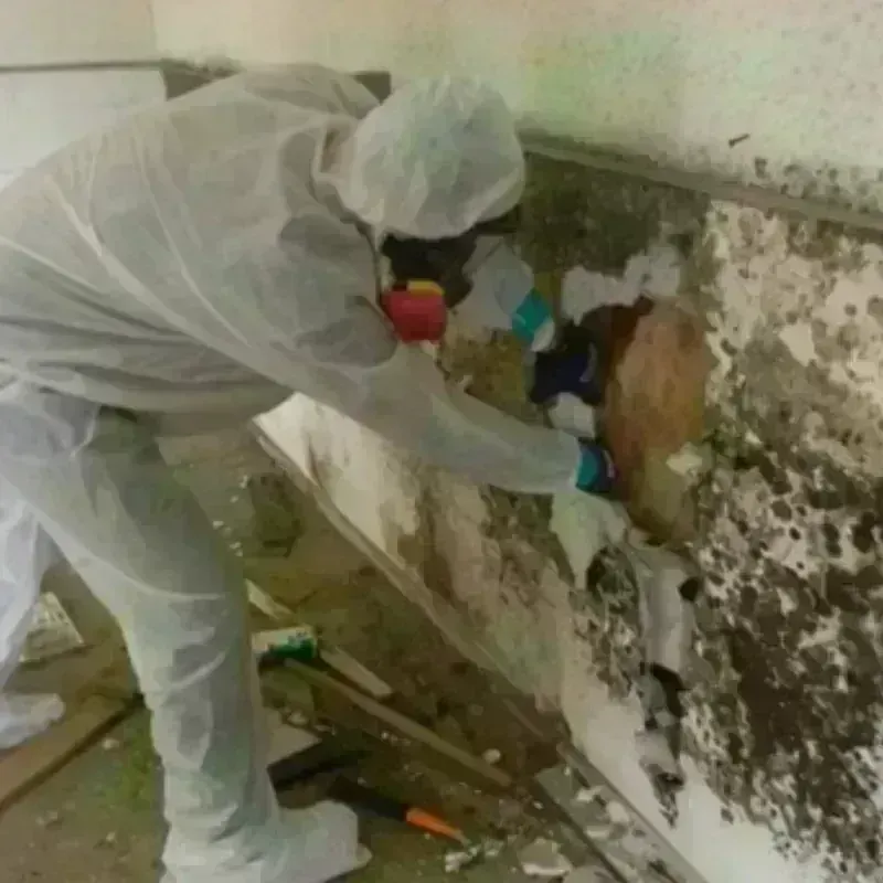 Mold Remediation and Removal in McCordsville, IN